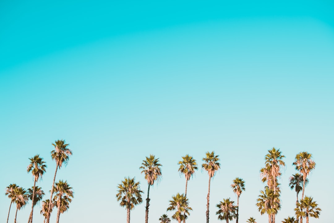 Photo liposuction clinic
